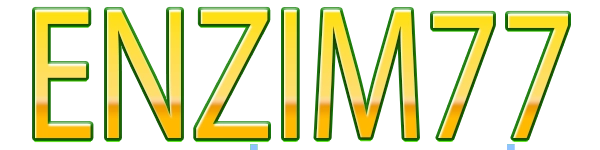ENZIM77 Logo